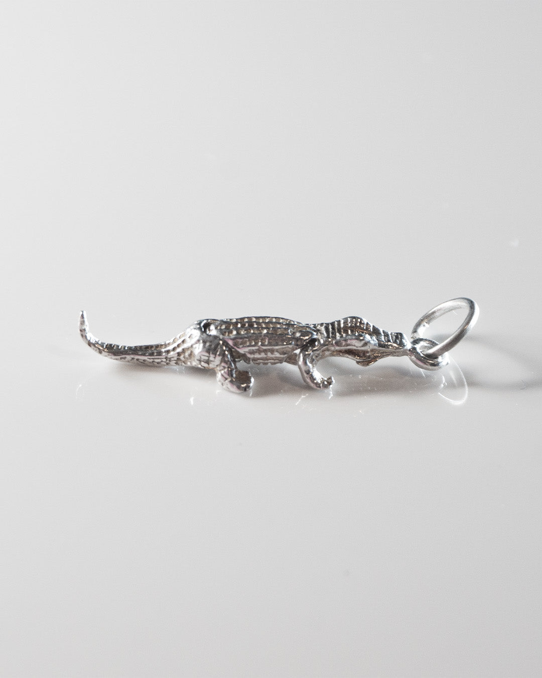 See Yu Later Crocodile Silver Charm