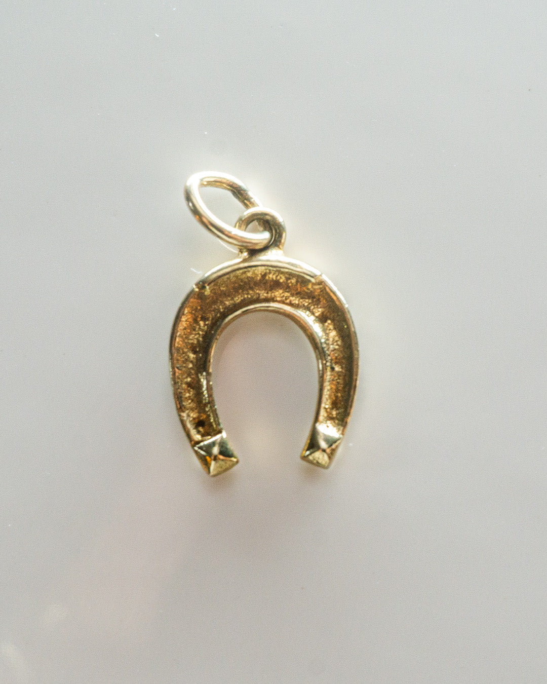 hold your horseshoe charm