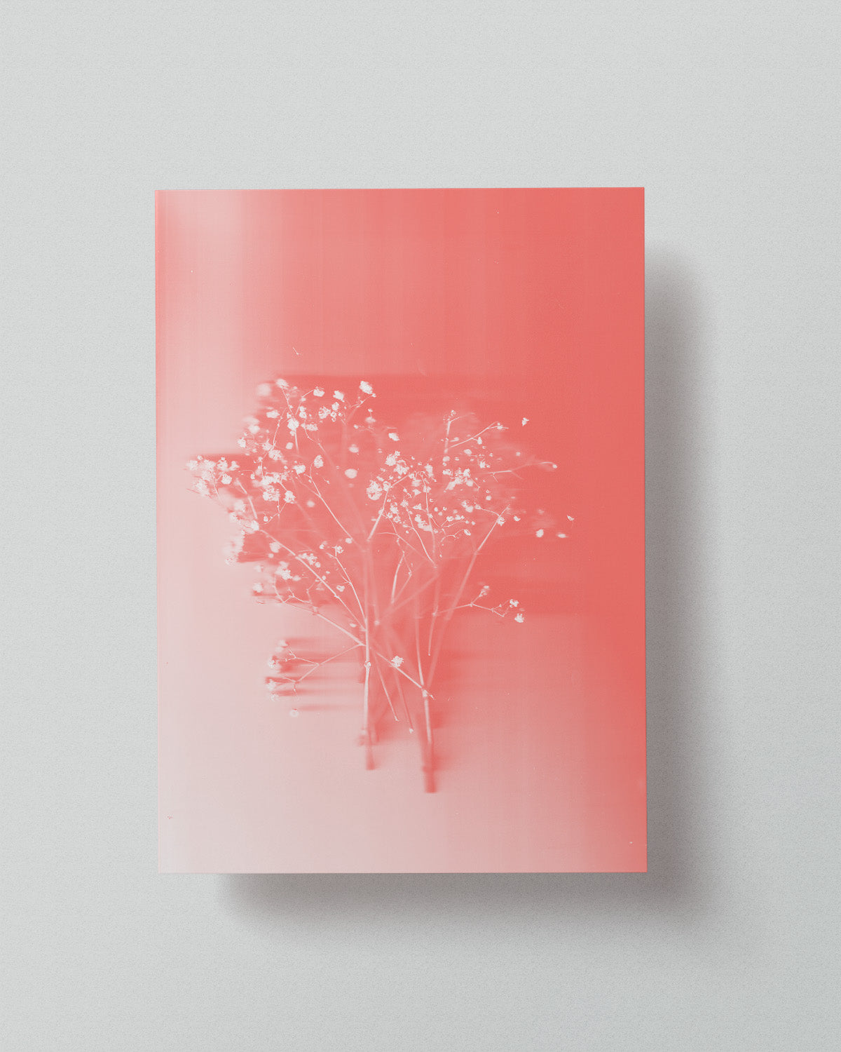 01 Limited Risoprint "Pressed to Impress" by Stephy.Anais