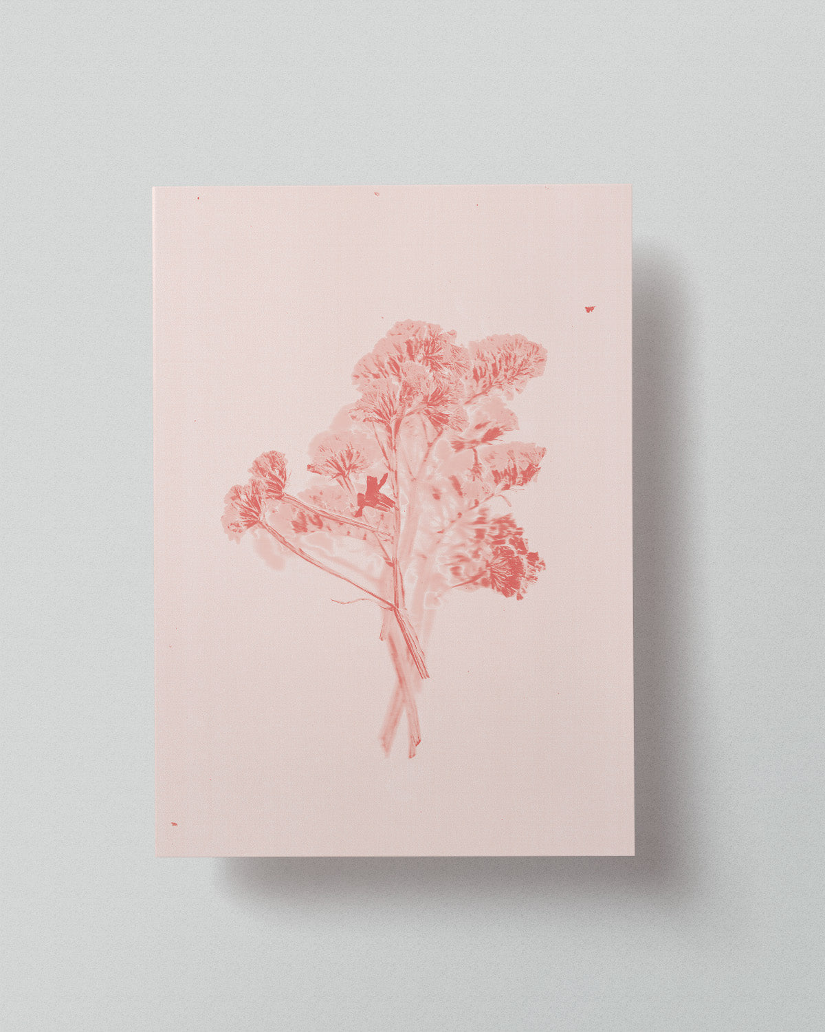 02 Limited Risoprint "Pressed to Impress" by Stephy.Anais