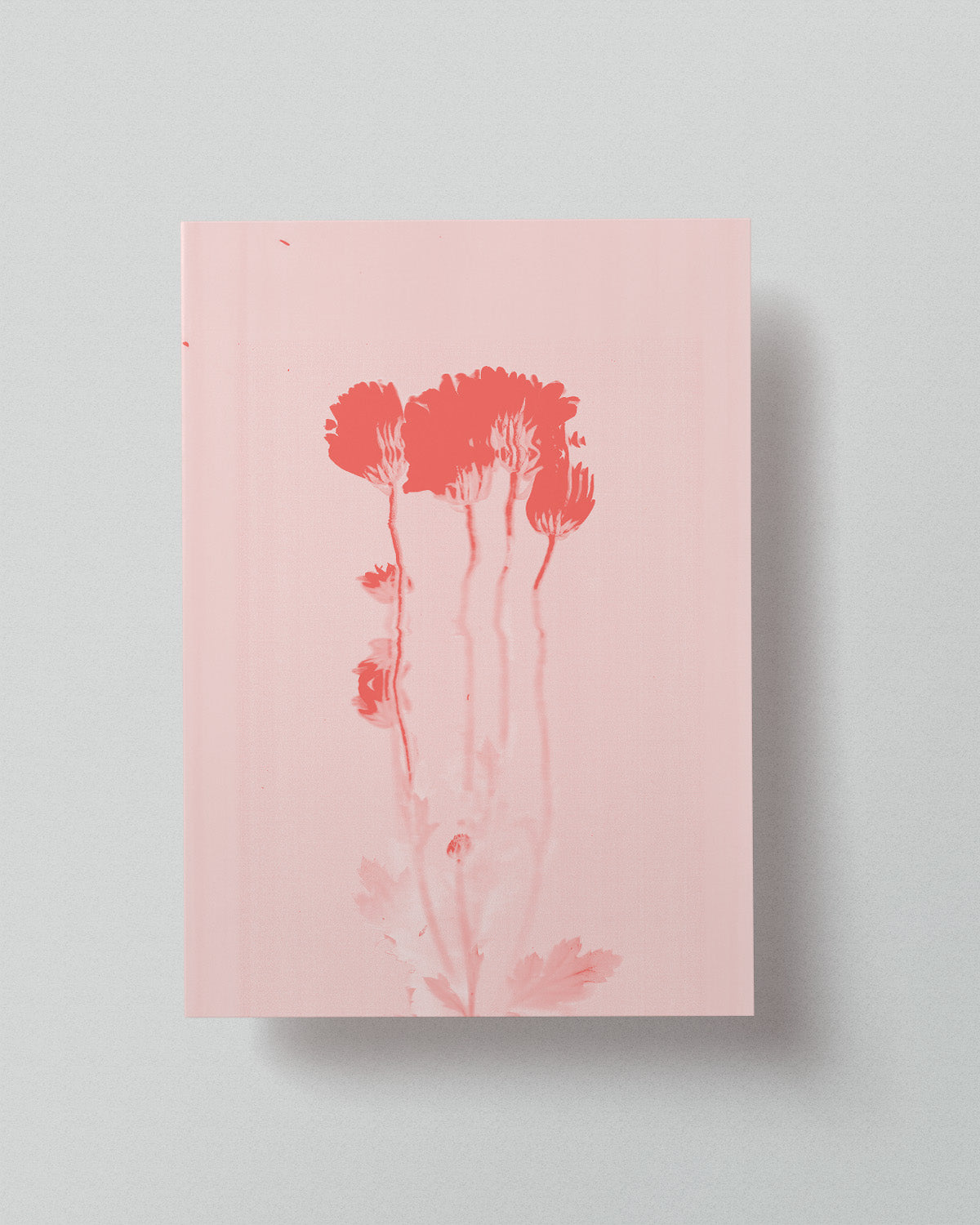 04 Limited Risoprint "Pressed to Impress" by Stephy.Anais