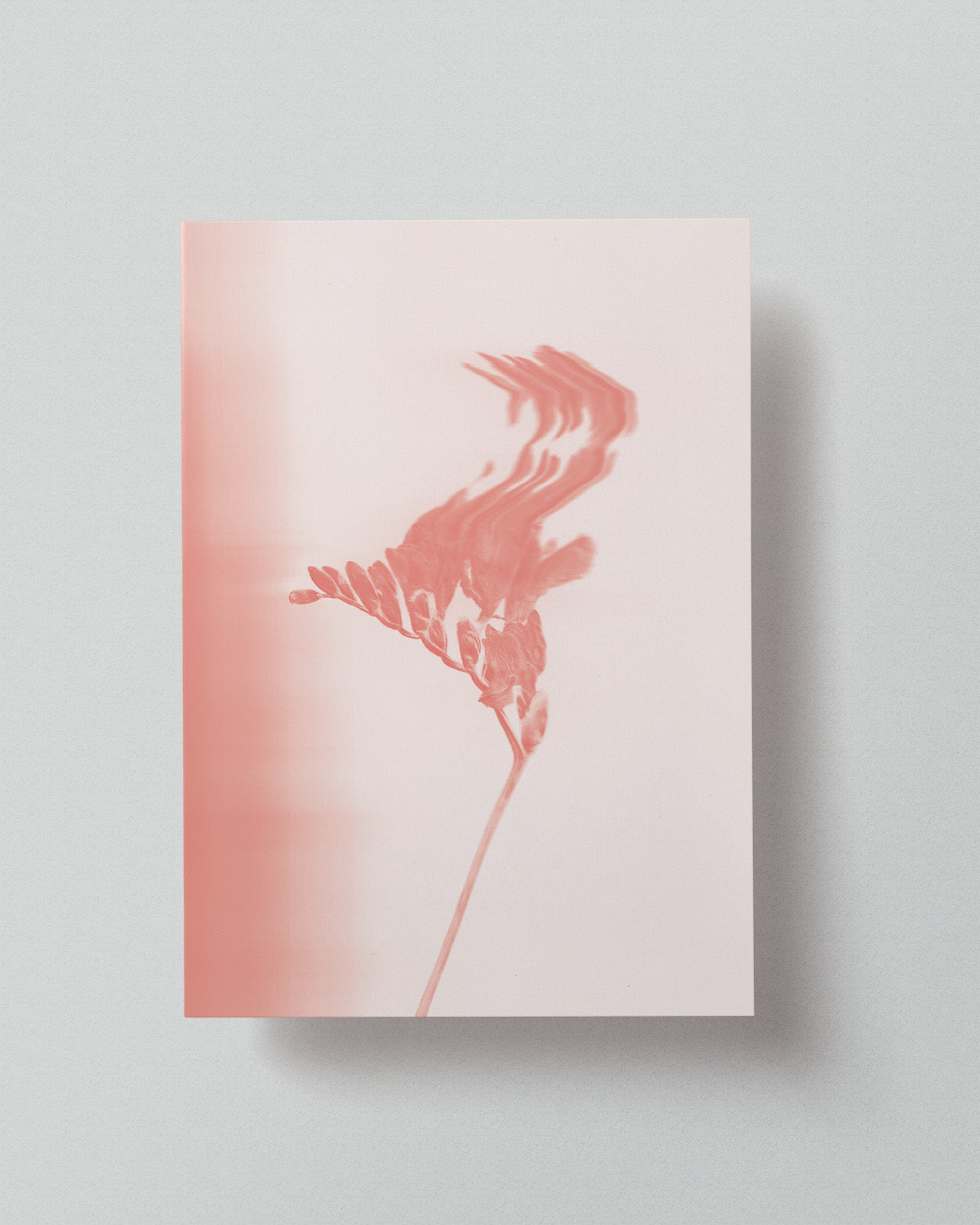 05 Limited Risoprint "Pressed to Impress" by Stephy.Anais