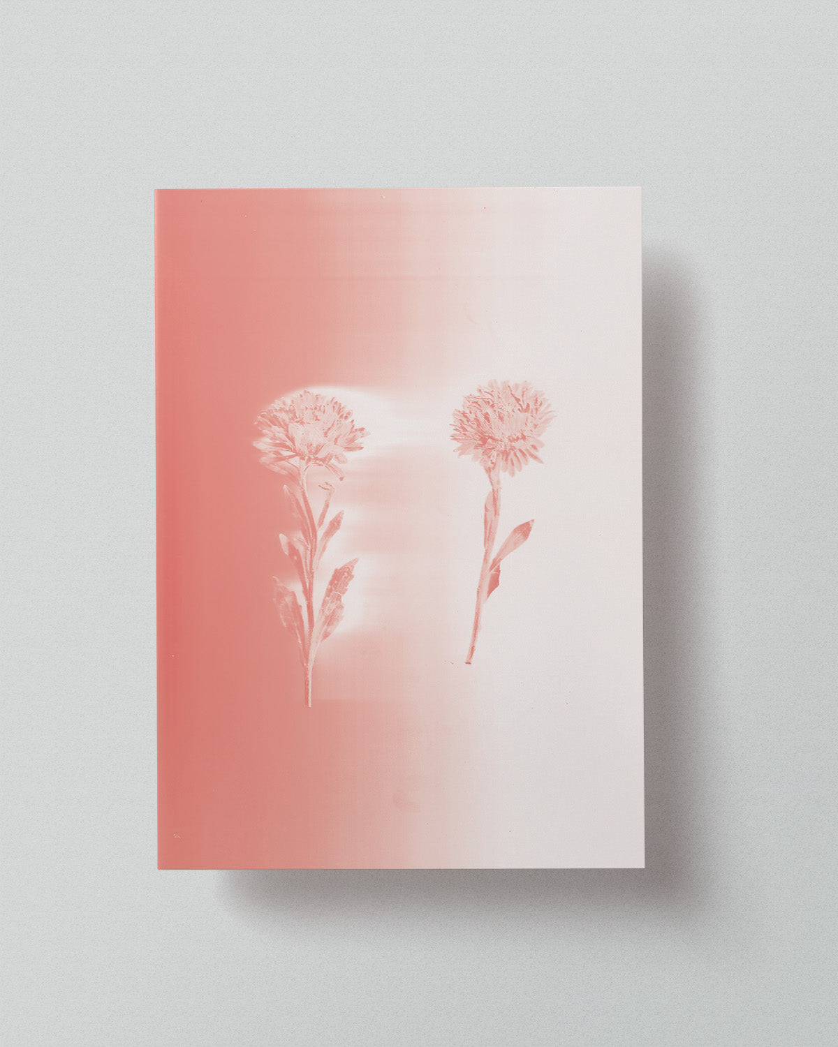 06 Limited Risoprint "Pressed to Impress" by Stephy.Anais