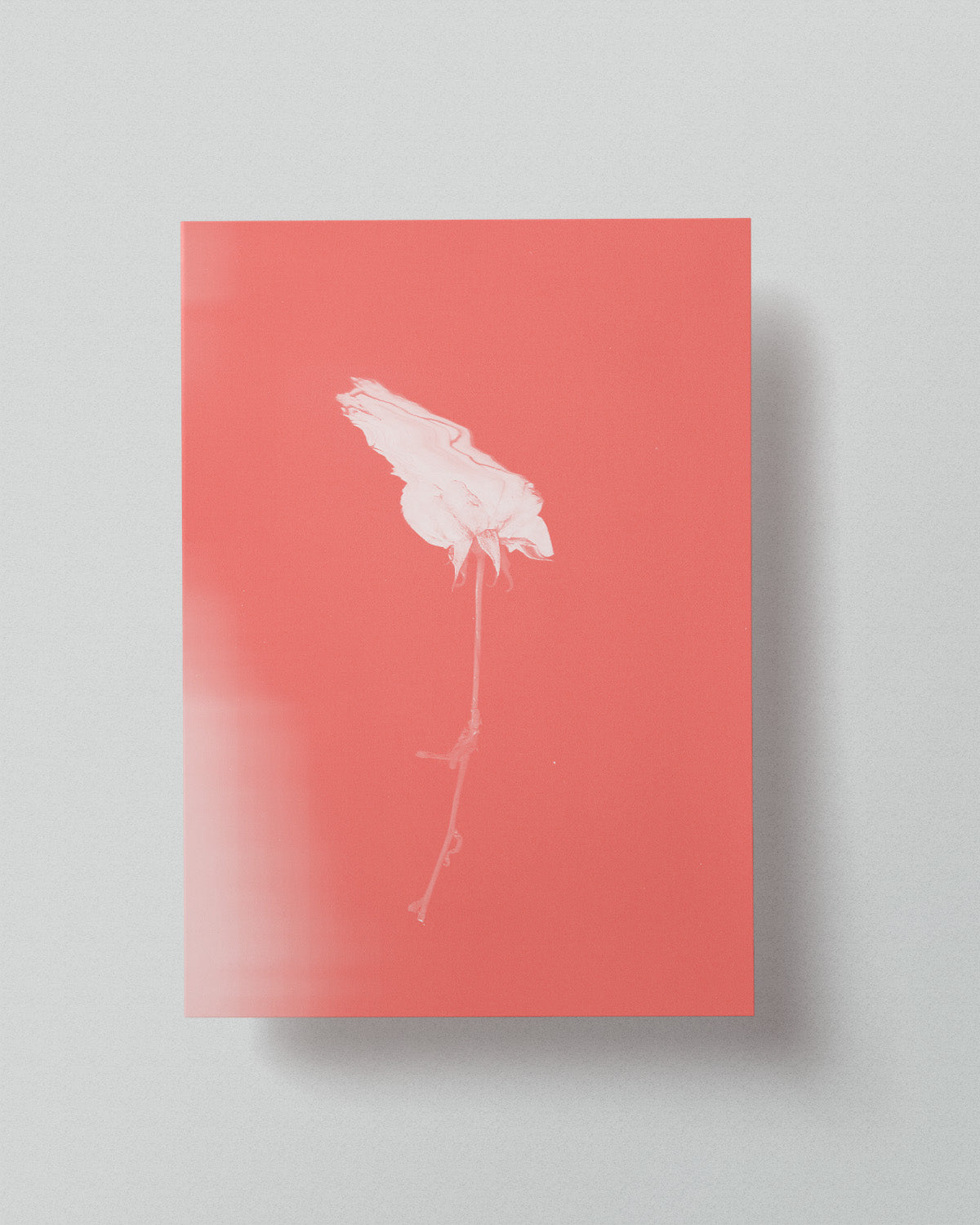 07 Limited Risoprint "Pressed to Impress" by Stephy.Anais