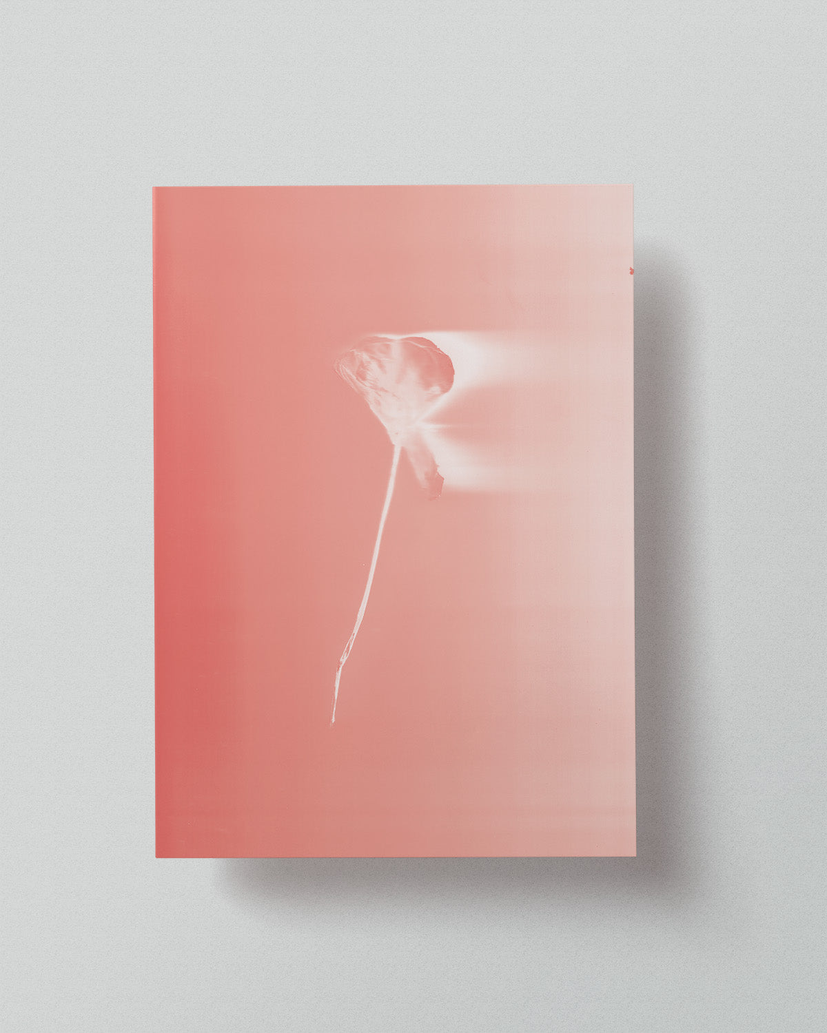 09 Limited Risoprint "Pressed to Impress" by Stephy.Anais