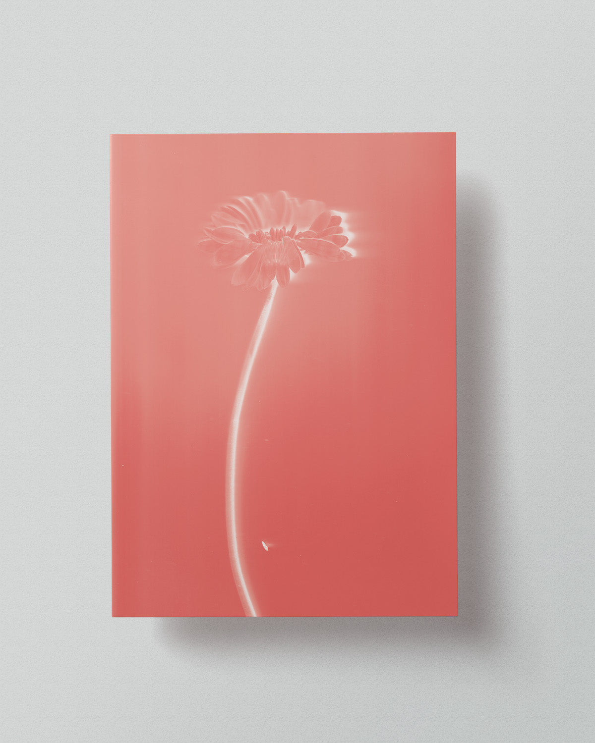 10 Limited Risoprint "Pressed to Impress" by Stephy.Anais