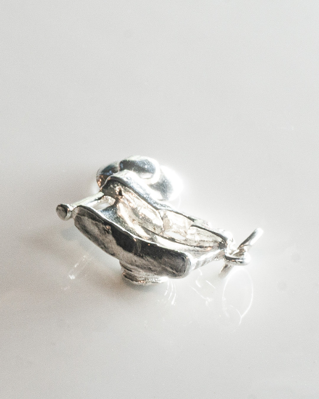 paparazzi charm