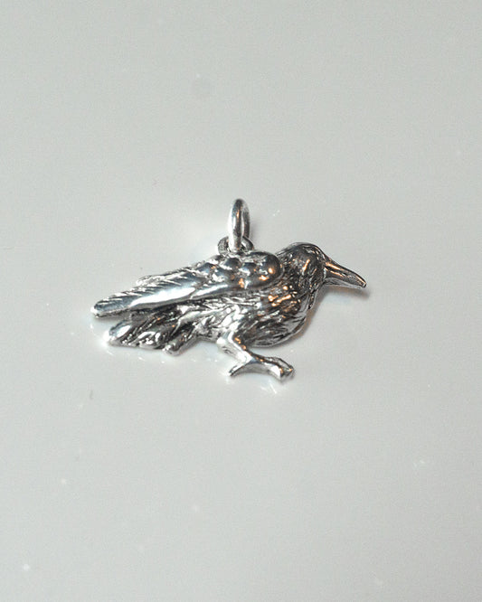 Blackbird Silver Charm