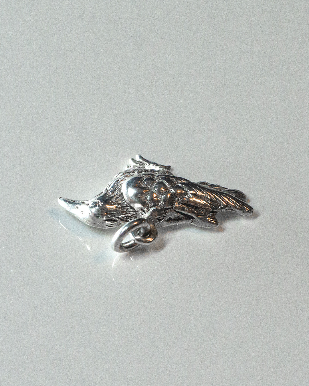 Blackbird Silver Charm