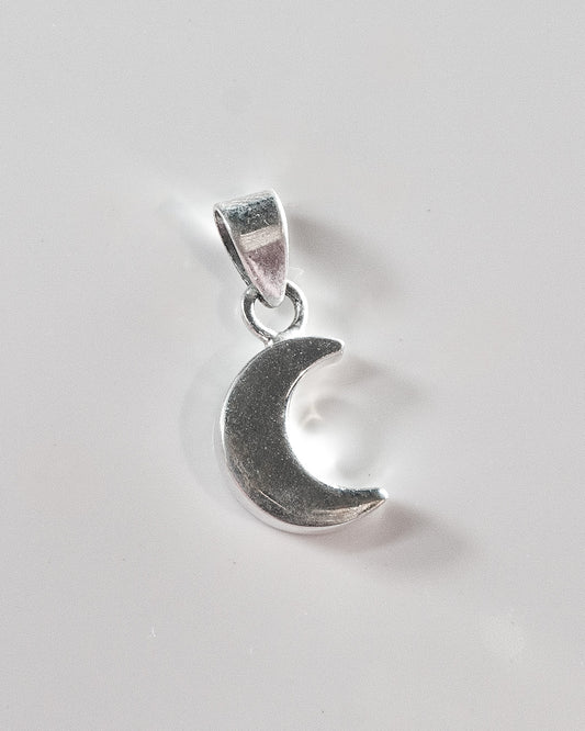 Dancing in the Moonlight Silver Charm