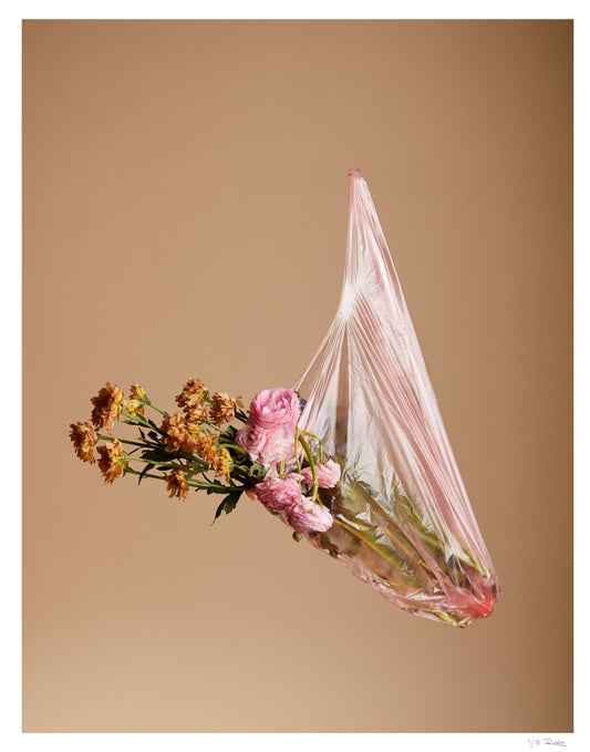 01 Limited Print "Flowers Die" by Jonathan Gordon