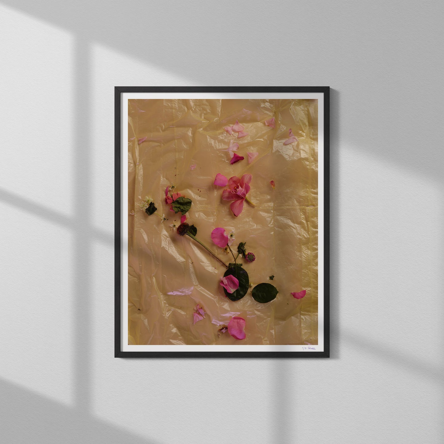 03 Limited Print "Flowers Die" by Jonathan Gordon