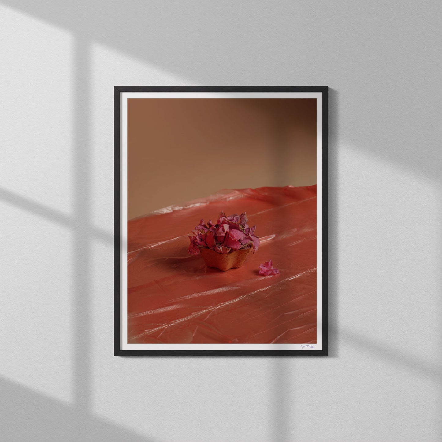 08 Limited Print "Flowers Die" by Jonathan Gordon