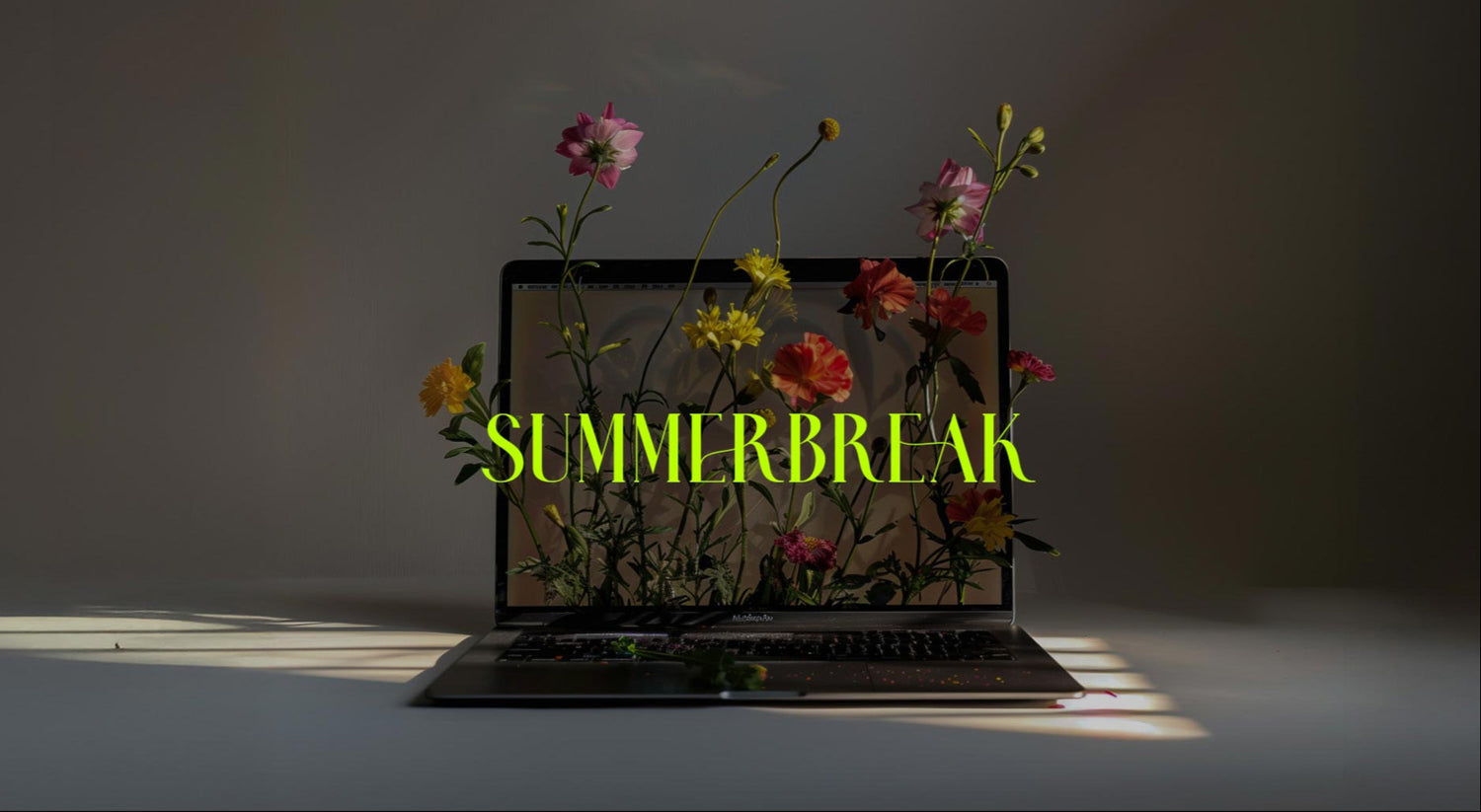 Flowers Die goes Summer