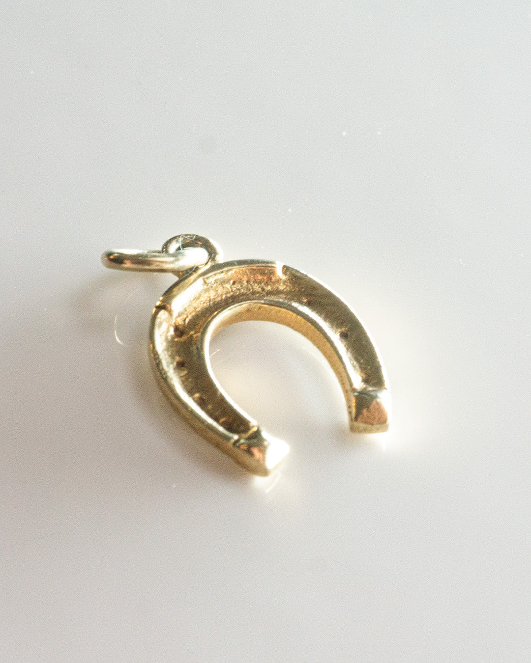 hold your horseshoe charm