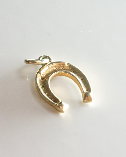 hold your horseshoe charm
