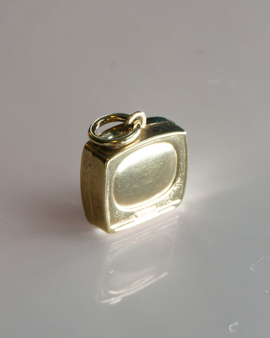 TV star charm