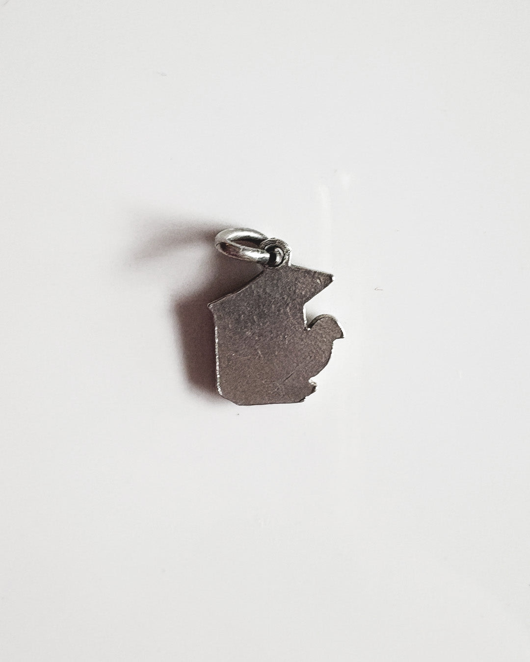 bird in a house charm