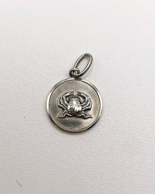 cancer coin charm