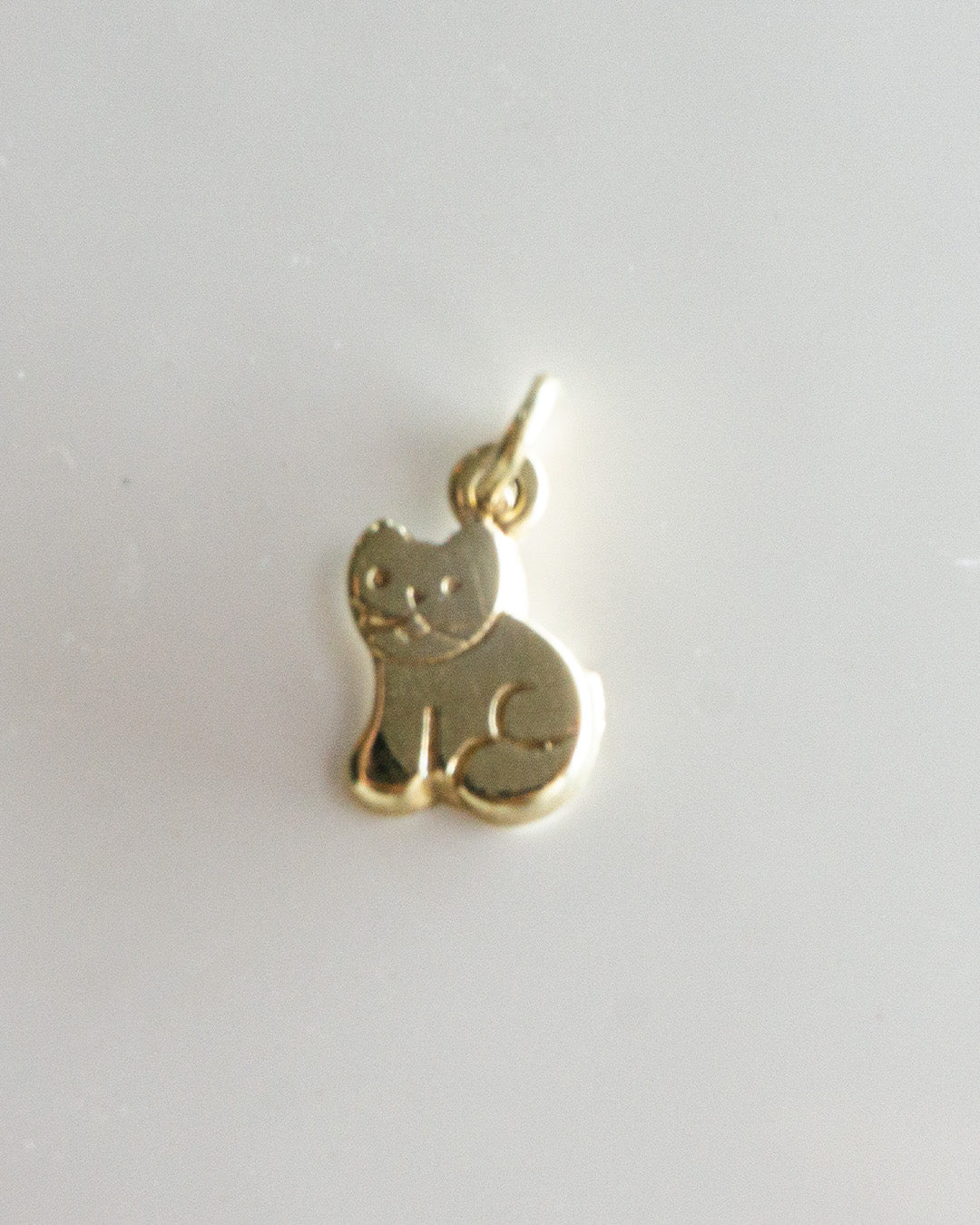 cool cat charm