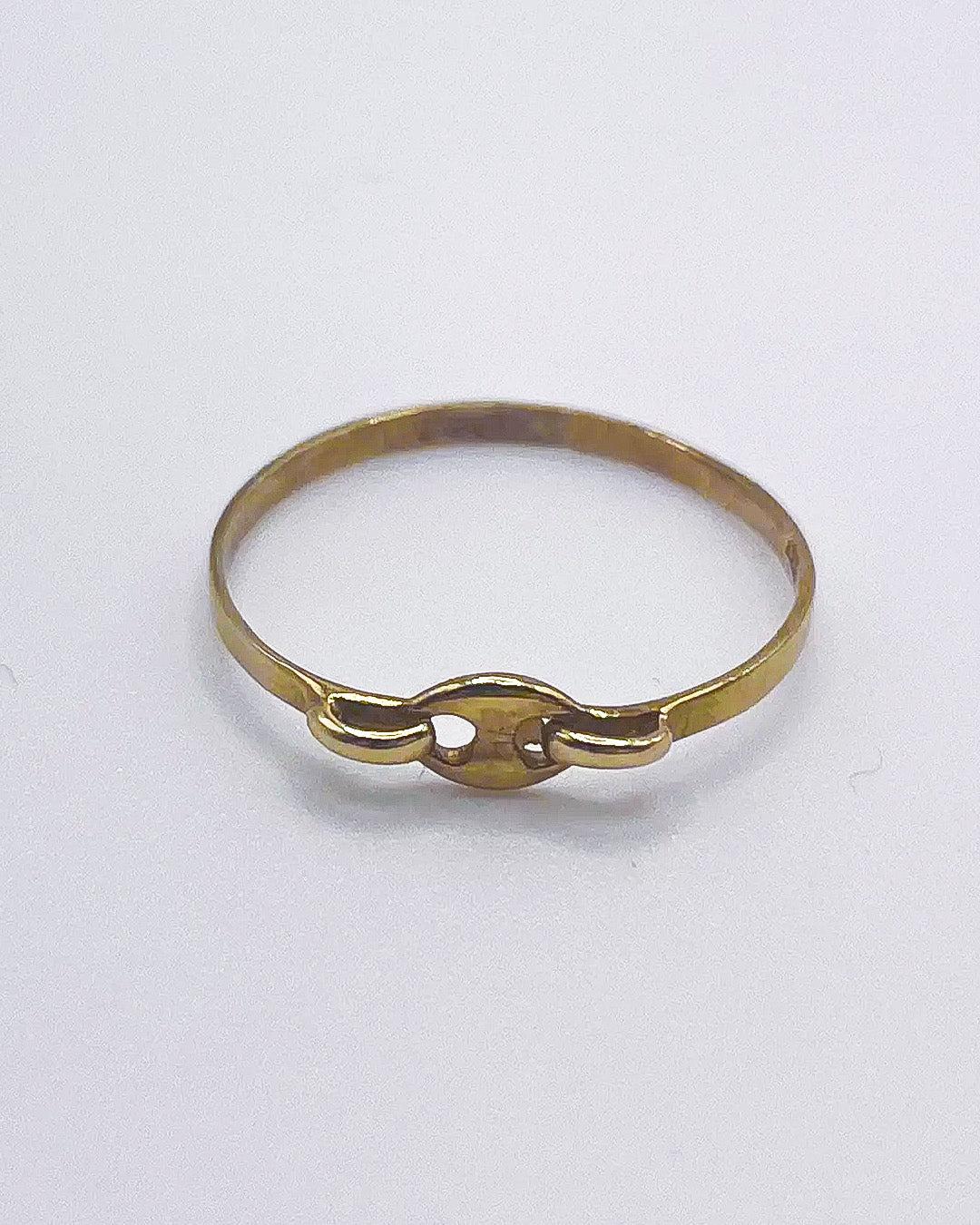 golden pig nose ring