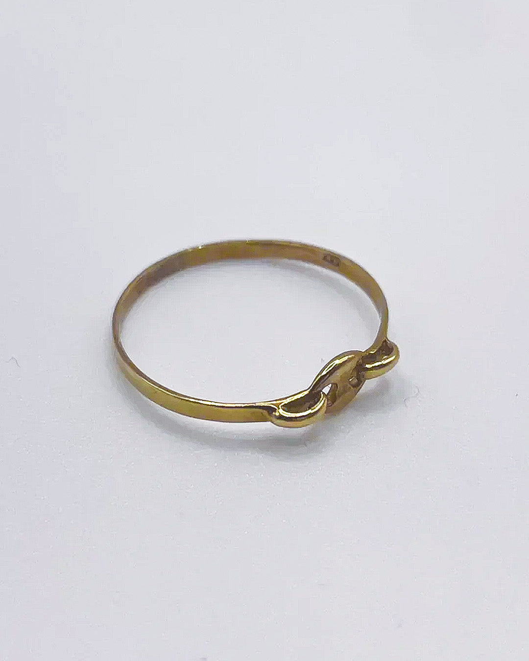 golden pig nose ring