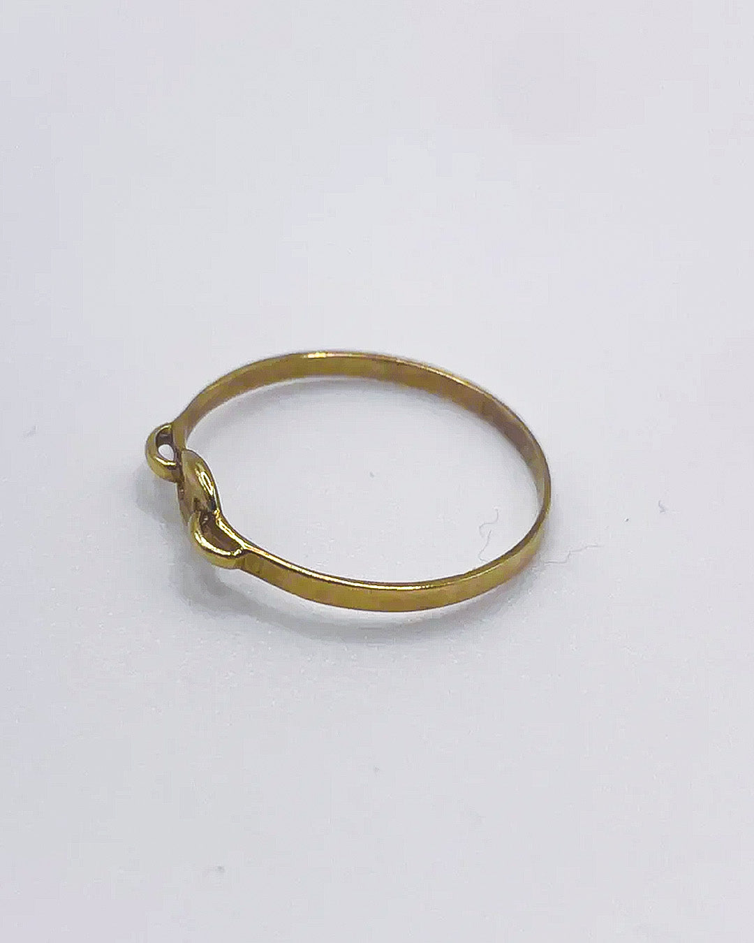 golden pig nose ring