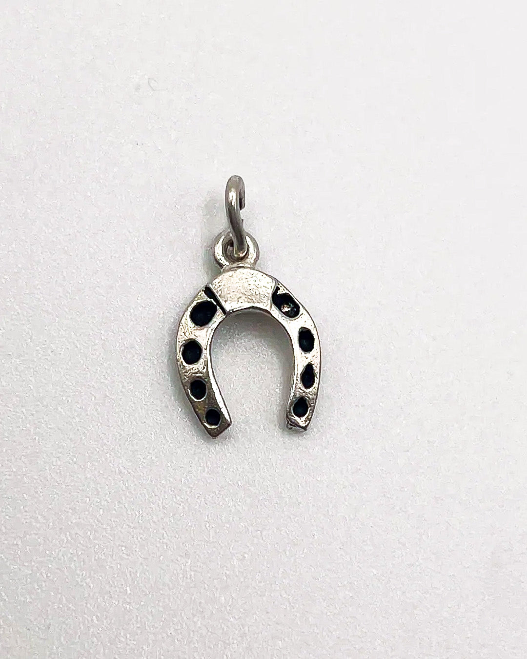 lucky horseshoe charm