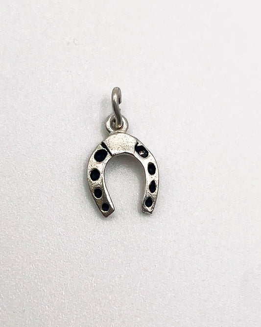lucky horseshoe charm
