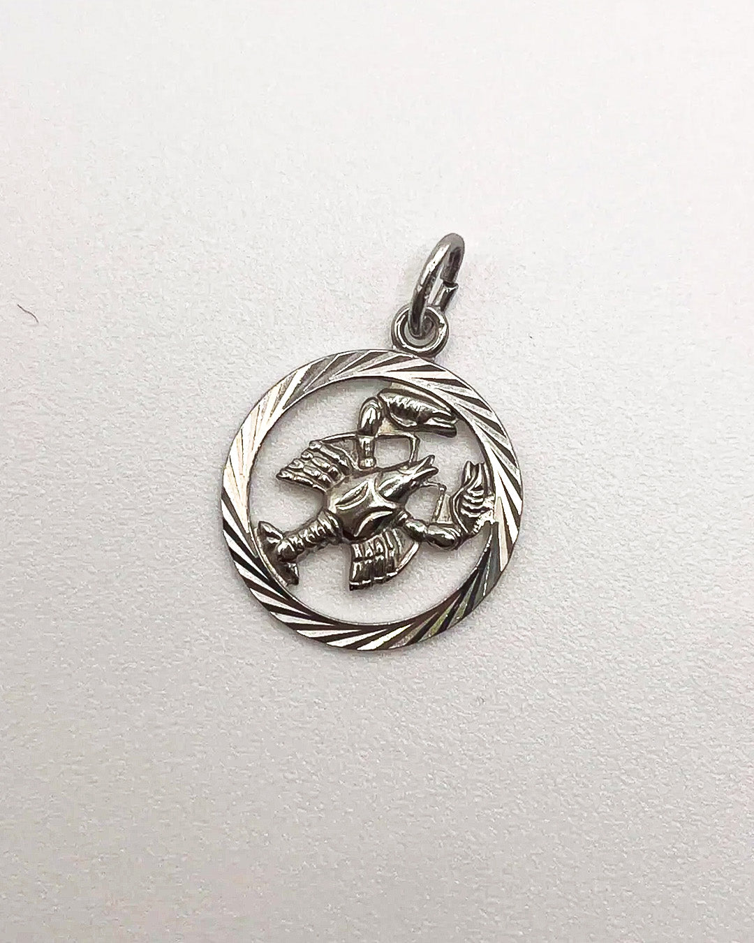 scorpion in a circle charm