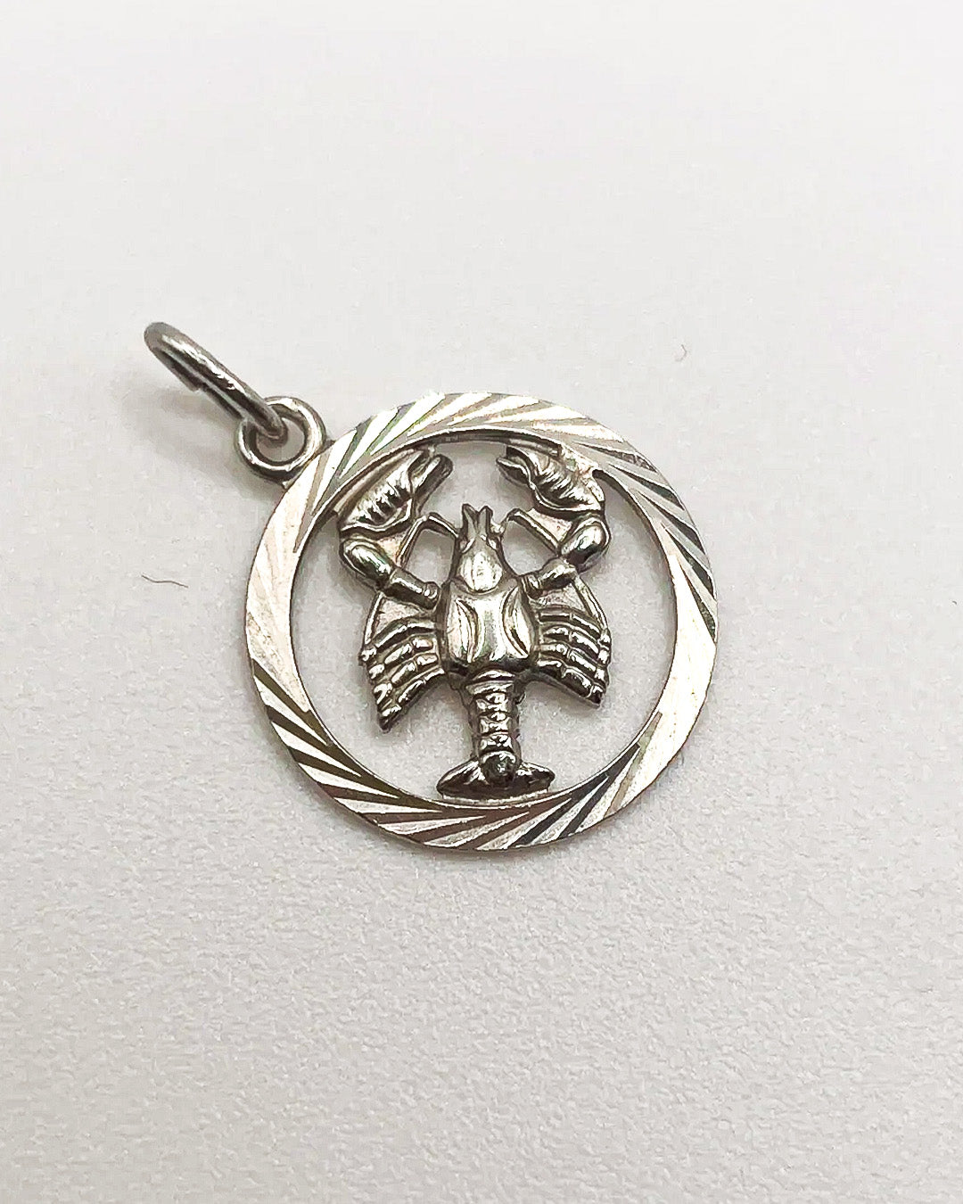 scorpion in a circle charm