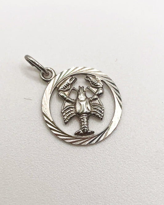 scorpion in a circle charm